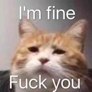 🐈 be16cdf2 I'm fine
Fuck you kucing, meme, ofensif, teks, sarkastik, ekspresi telegram sticker