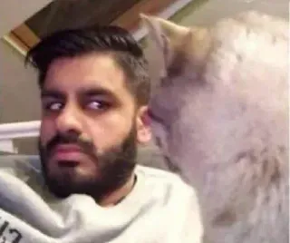 🐈 fe54fd0b pria, kucing, selfie, potret, jenggot telegram sticker