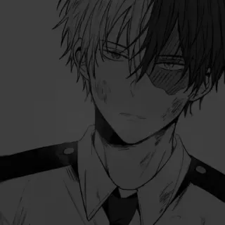 🖤 933ff2ca Shoto Todoroki My Hero Academia Anime, Manga, Charakter, Narbe, Verletzt, Held, My Hero Academia telegram sticker