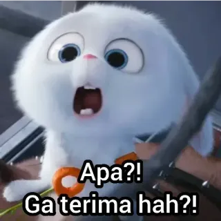 😞 1c5999c6 Apa?! Ga terima hah?! กระต่าย, บันนี่, สัตว์, น่ารัก, สติกเกอร์, มีม telegram sticker