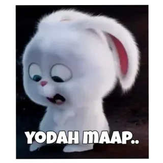 😞 4bbbe256 YODAH MAAP.. กระต่าย, น่ารัก, สีขาว, ขอโทษ telegram sticker