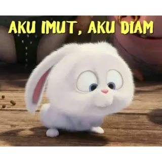 😊 77f28941 AKU IMUT, AKU DIAM น่ารัก, กระต่าย, ขาว, น่าเอ็นดู, กระต่าย, สัตว์ telegram sticker