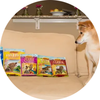 🍕 36bfc892 telegram sticker