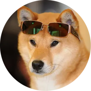 😎 82a9ef85 dog, shiba inu, sunglasses, animal, pet, cool, meme telegram sticker