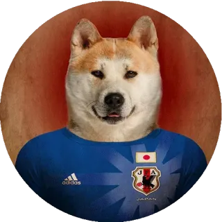 👕 d40033ec JAPAN dog, soccer, japan, akita, football, sports, team telegram sticker