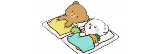 💤 79eec15d Мультфильм, Медведи, Спящий, Милый, Животное, Подушка telegram sticker