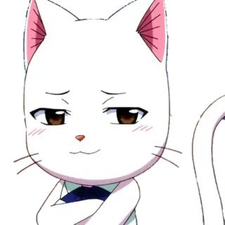 😼 3f6002c9 Lector Fairy Tail кот, аниме, белый, лектор, Fairy Tail whatsapp sticker