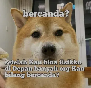 👎 6d5c0dc2 bercanda?
setelah Kau hina fisikku di Depan banyak org Kau bilang bercanda? 狗, 表情包, 搞笑, 宠物, 动物 telegram sticker
