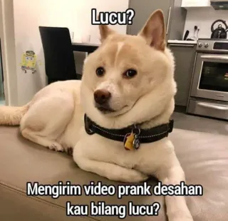 @Rimmuruu Vol.1 telegram stickers