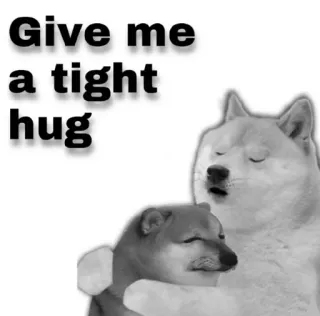 😂 0b6fabed Give me a tight hug doge, shiba inu, hug, meme, dog, cute telegram sticker