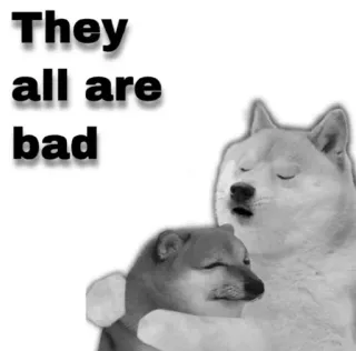 😂 316391ce They all are bad doge, meme, dogs, animals, bad telegram sticker