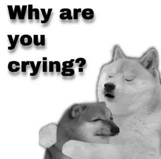 😂 68b19342 Why are you crying? doge, dog, meme, crying, funny, sad telegram sticker