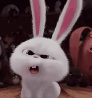 @AMOSisAFK Vol. 1 (Video) whatsapp stickers