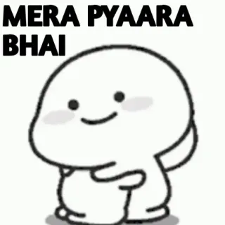 😊 d36e5928 MERA PYAARA BHAI cartoon, brother, cute, affectionate, hindi telegram sticker