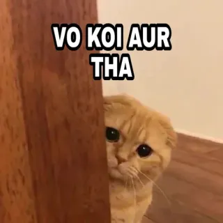 🍁 0385495c VO KOI AUR THA 猫, 偷看, 悲伤, 表情包, 橘猫, 躲藏 telegram sticker