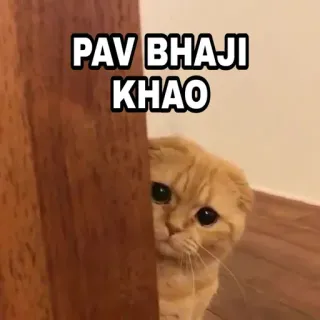 🍁 510c403a PAV BHAJI KHAO 猫, 帕夫巴吉, 食物, 印度食物, 可爱, 吃, 表情包 telegram sticker