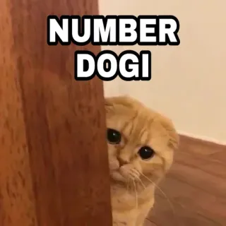 🍁 bf1ebcd3 NUMBER DOGI 猫, 可爱, 动物, 宠物, 表情包, 搞笑 telegram sticker