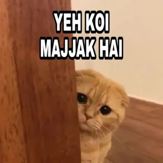 🍁 e54ac921 YEH KOI 
MAJJAK HAI 猫, 表情包, 搞笑, 悲伤的猫, 偷看, 文字, 印地语, 幽默 telegram sticker