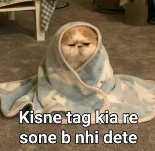 😒 23f03ab4 Kisne tag kia re sone b nhi dete gatto, divertente, meme, coperta, assonnato, carino telegram sticker