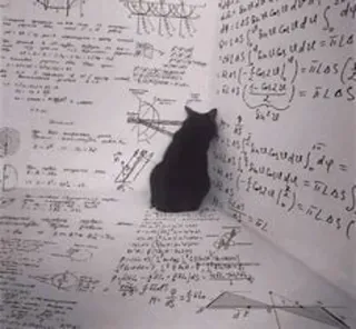 😂 52235385 gatto, matematica, matematica, equazioni, gatto nero, divertente, aula telegram sticker