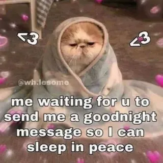 ❤️ ce76565b me waiting for u to send me a goodnight message so I can sleep in peace gatto, aspettando, buonanotte, messaggio, pace, carino, cuori telegram sticker