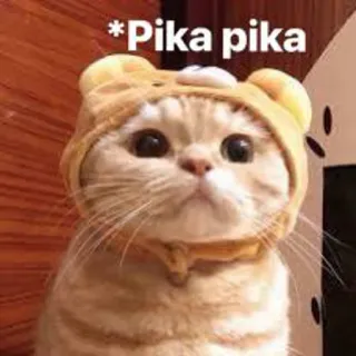 😂 e1e30dd0 Pika pika gatto, pikachu, animale, animale domestico telegram sticker