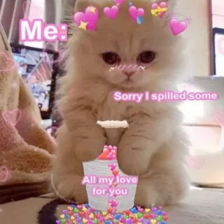 😂 436b579f Me: Sorry I spilled some All my love for you 고양이, 사랑, 하트, 귀여운, 밈 telegram sticker