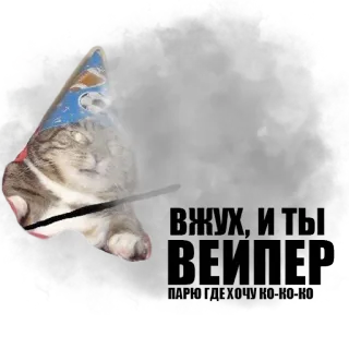 Кот вжух telegram stickers