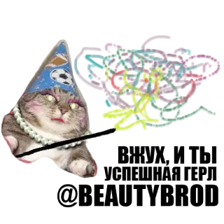 Кот вжух telegram stickers