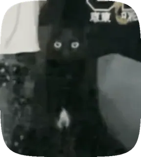 😐 46f72406 whatsapp sticker