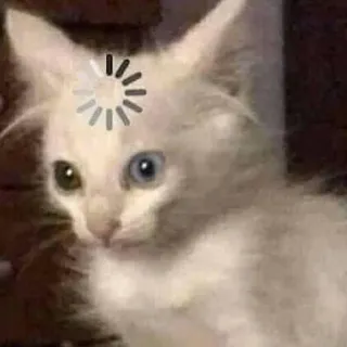 😟 39e640fc 猫, 加载中, 思考, 搞笑, 表情包, 动物 whatsapp sticker