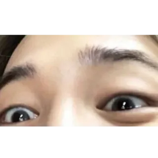 👀 48d693d4 telegram sticker