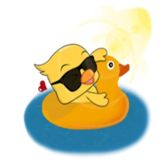 🏖 12620bc0 pato, pato de goma, gafas de sol, dibujos animados, lindo, piscina, verano, relajación telegram sticker