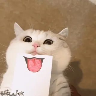 😛 48227a46 @fix_x_fox кот, животное, стикер, милый, мем, смешной, язык telegram sticker
