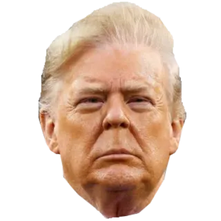 🤡 0546d862 Donald Trump Donald Trump, politics, president, USA, political figure, politician telegram sticker