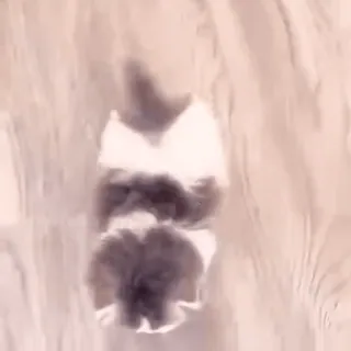 😳 3fdb7c24 telegram sticker