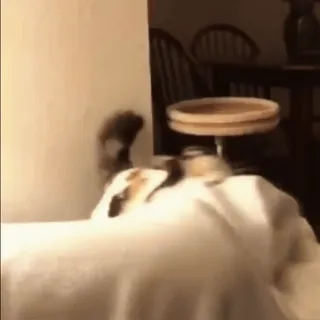 👊 2d3bcbd8 whatsapp sticker