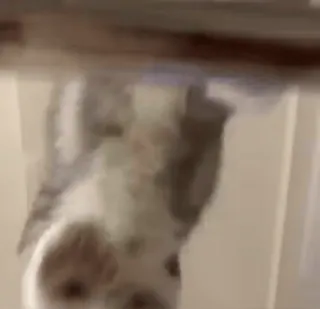 👊 73207276 whatsapp sticker