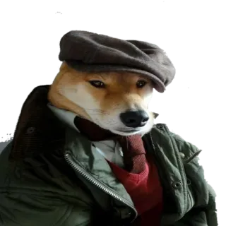 😡 778c1c76 犬, 柴犬, 動物, ペット, 服, スタイル, ポートレート telegram sticker