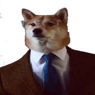 😎 9fac6e54 犬, 眼鏡, スーツ, ネクタイ, 柴犬, フォーマルウェア telegram sticker