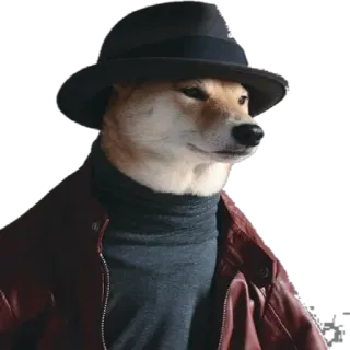 Doge Chad telegram stickers