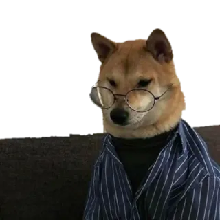 🥱 e7751856 犬, 眼鏡, 動物, ペット, 柴犬, オタク, 面白い telegram sticker