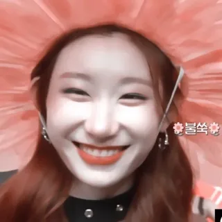 💠 7287caa3 불쑥 韩流, 花, 肖像, 微笑, 快乐 telegram sticker