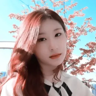 💠 a8b43be3 telegram sticker