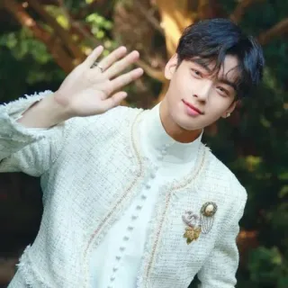 ☺️ 792d589e Cha Eun-woo kpop, diễn viên, kdrama, vẫy tay, người nổi tiếng telegram sticker