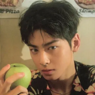 @asianstickers : CHA EUNWOO telegram stickers