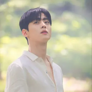 🤩 98e0d685 diễn viên, đàn ông, người mẫu, đẹp trai, chân dung, người Hàn Quốc telegram sticker