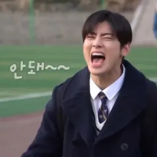 @asianstickers : CHA EUNWOO telegram stickers