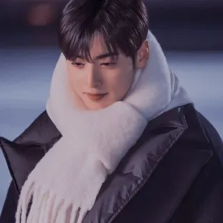 🥰 ece99a53 người, khăn quàng cổ, mùa đông, chân dung, Hàn Quốc telegram sticker