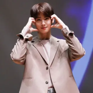 @asianstickers : CHA EUNWOO whatsapp stickers